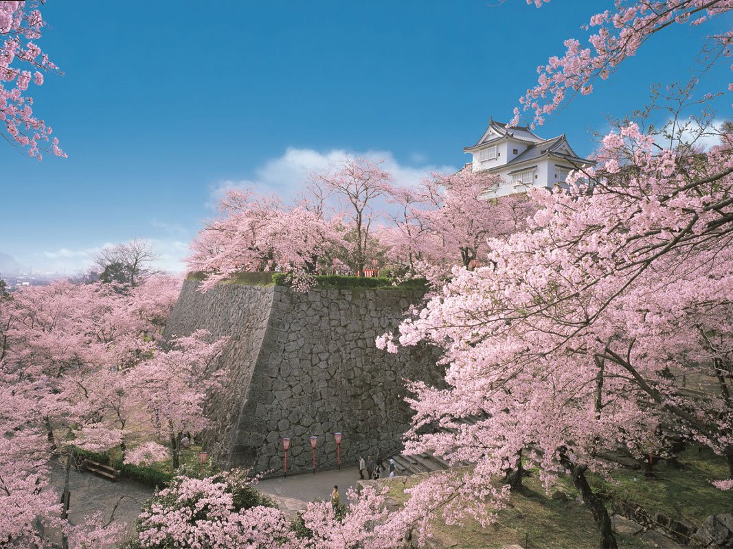 🏯 쓰야마 성(가쿠잔 공원) 이미지 7